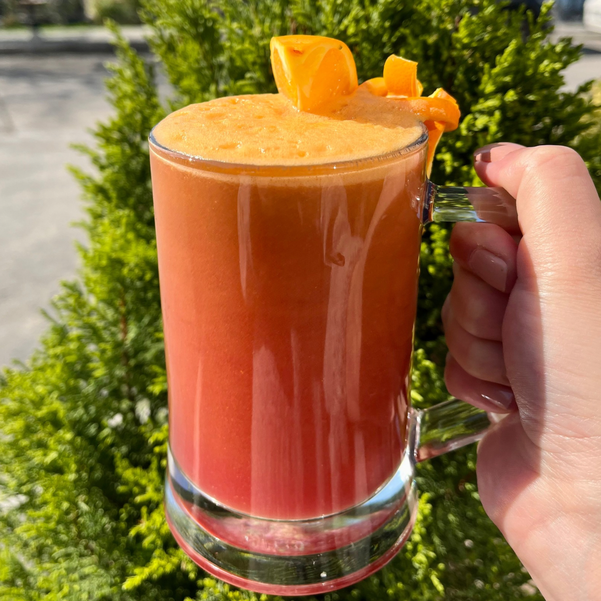  Doğal (Sıkma) Meyve Suları / Freshly Squeezed Fruit Juices