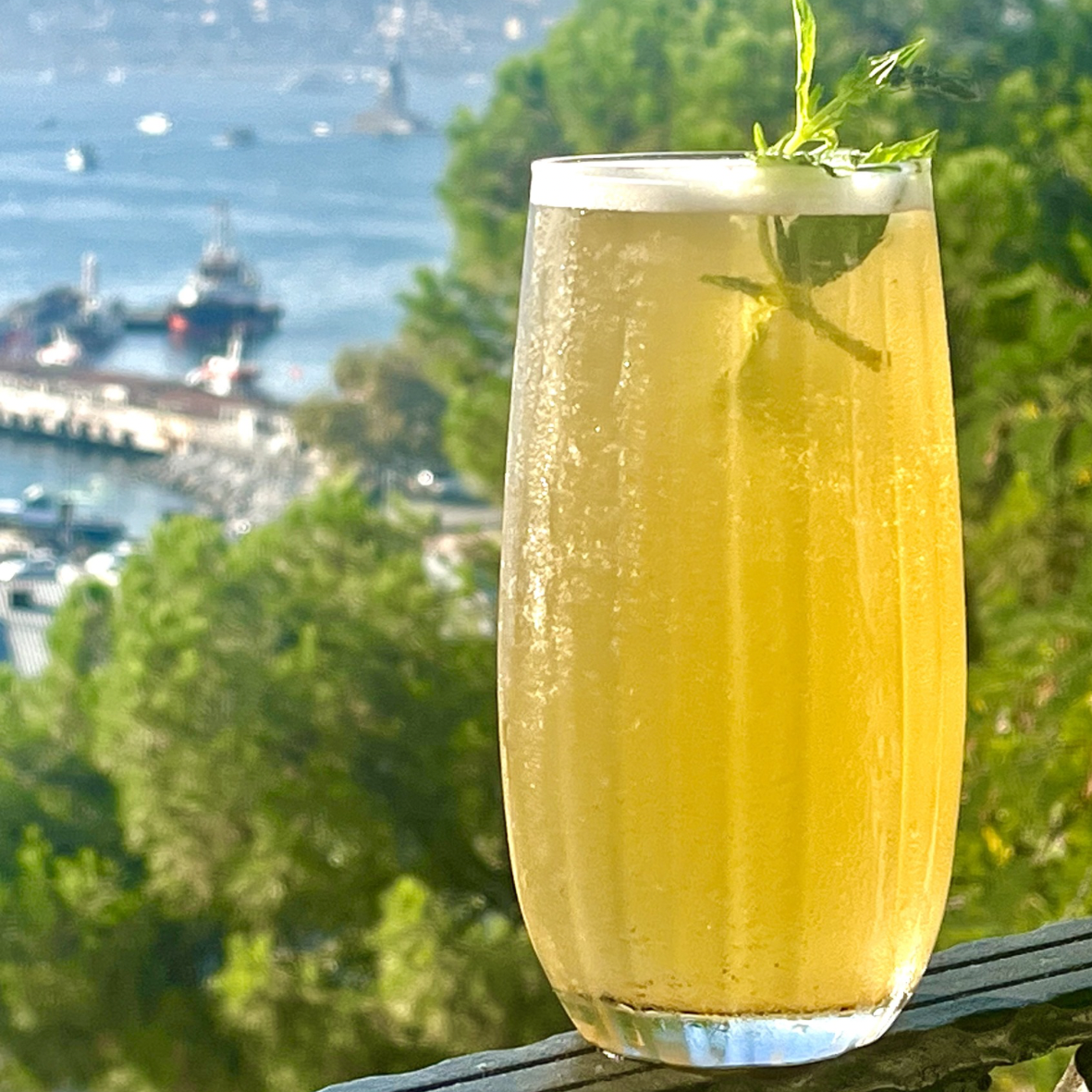  Doğal Soğuk Çaylar Natural Iced Teas